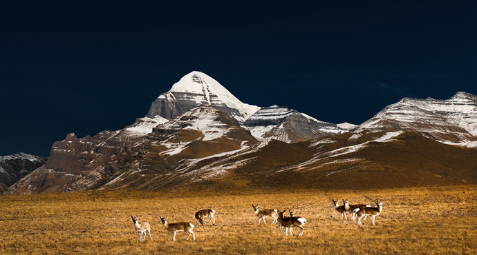  Passing by the West of China —— Photography Exhibition of Tianran